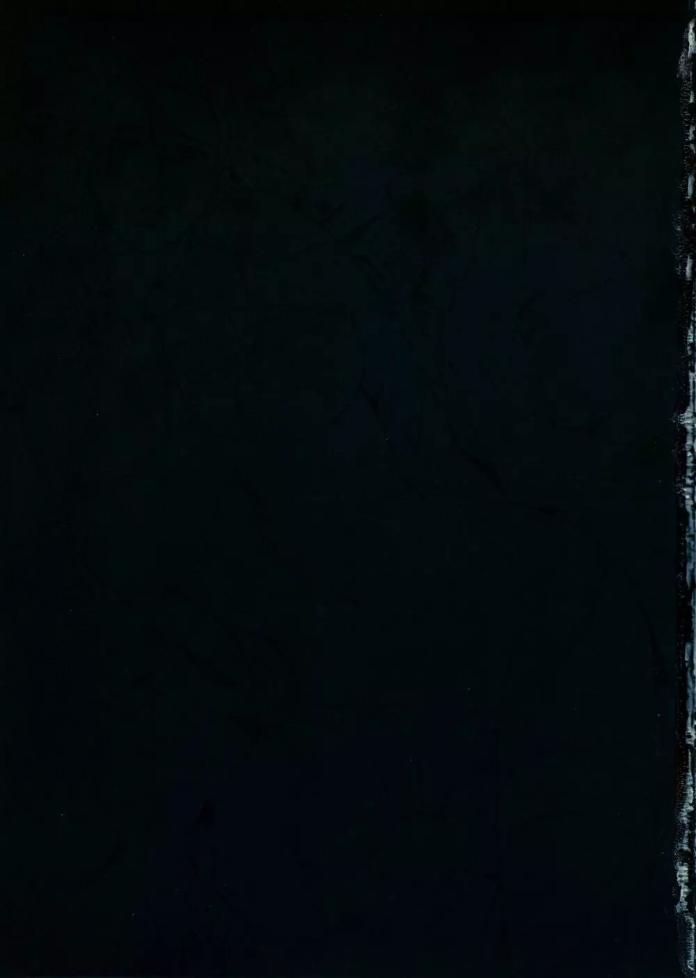 [織田non] NON VIRGIN 【Limited Edition】 CHRONICLE-FULLCOLOR BOOKLET-SIDE:MELON + Postcard 44ページ