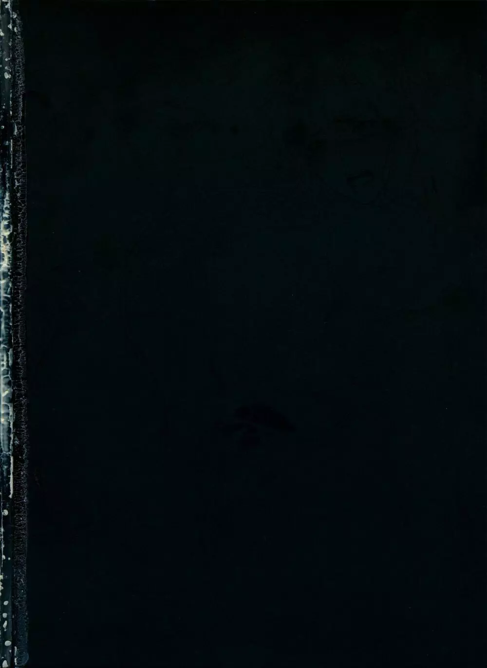 [織田non] NON VIRGIN 【Limited Edition】 CHRONICLE-FULLCOLOR BOOKLET-SIDE:MELON + NON VIRGIN LINE WORKS + Postcard 44ページ