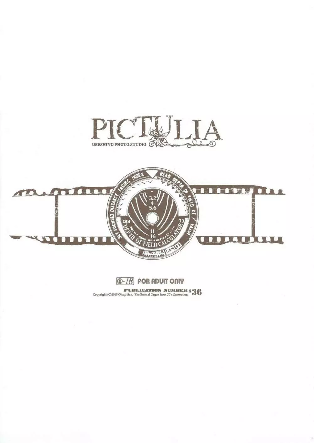 pictulia + 4Pリーフレット 3ページ