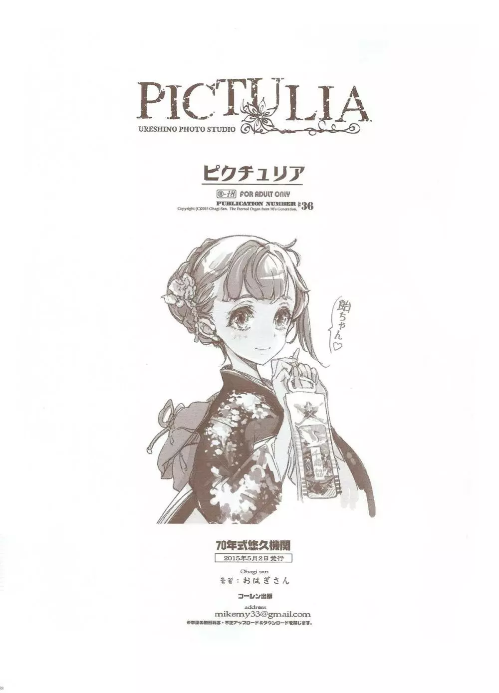 pictulia + 4Pリーフレット 38ページ