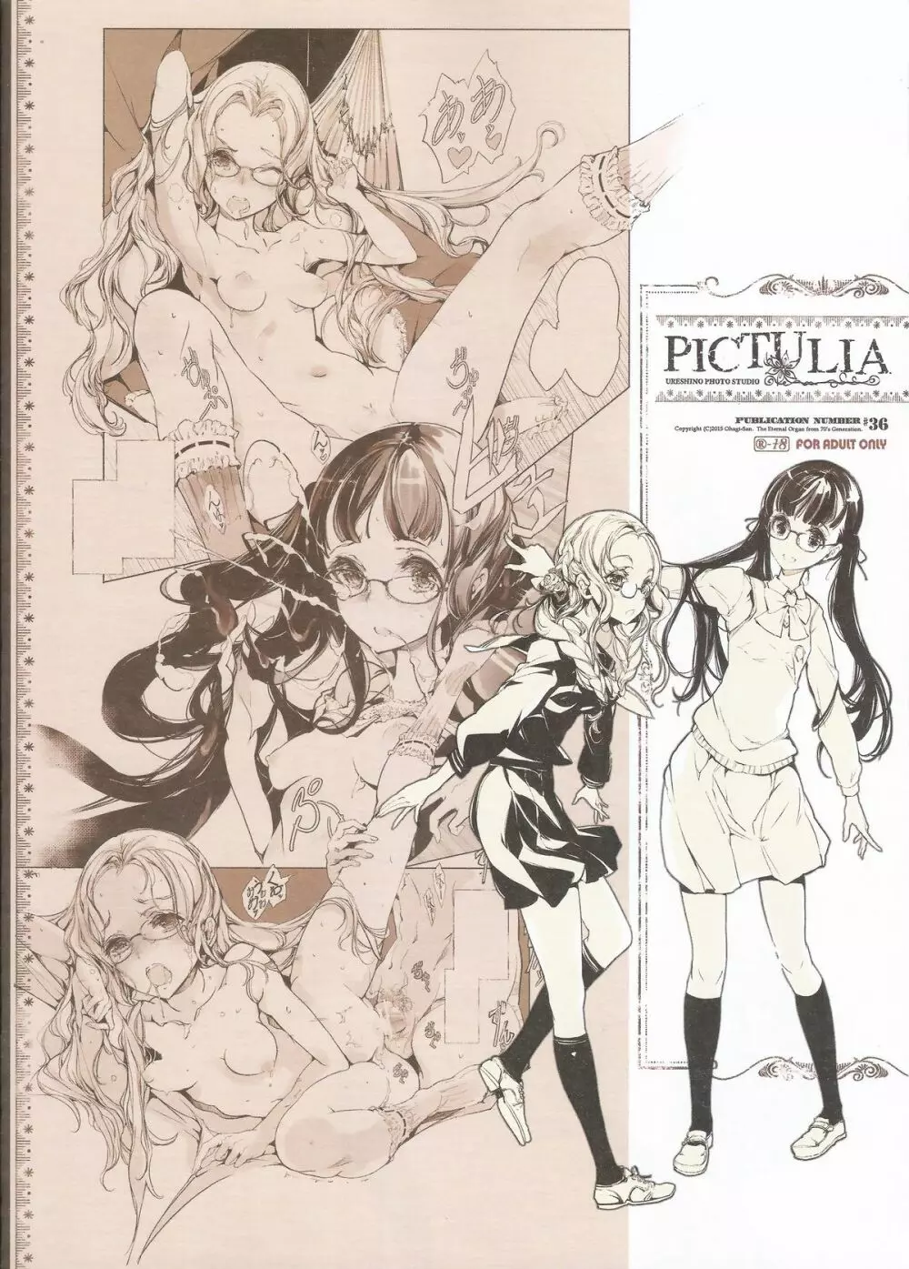 pictulia + 4Pリーフレット 40ページ