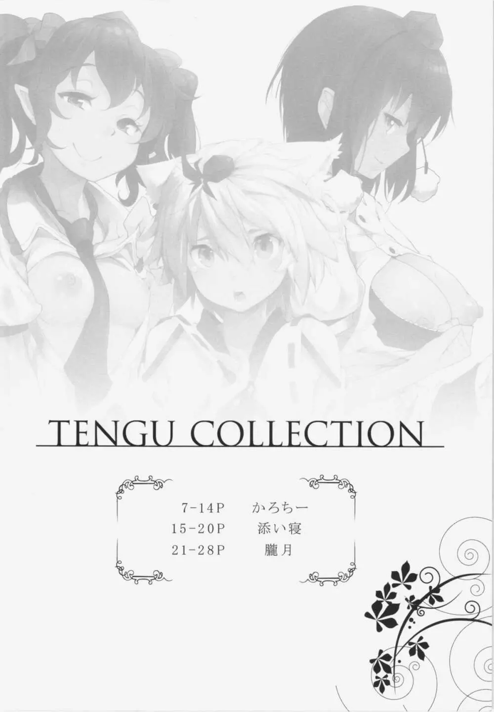 TENGU COLLECTION 6ページ
