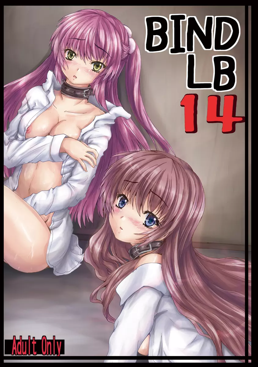 BindLB14 1ページ