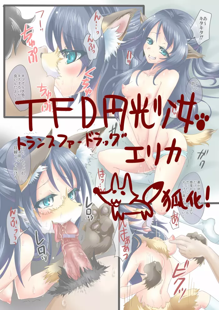 TFD円光少女エリカ 1ページ
