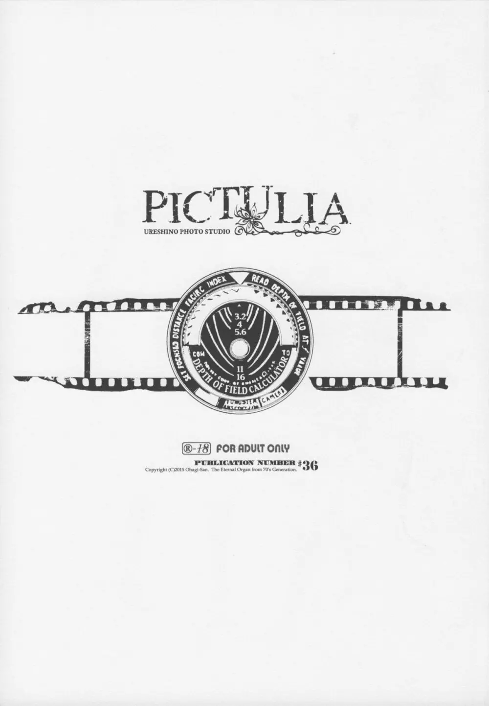 pictulia + 4Pリーフレット 4ページ