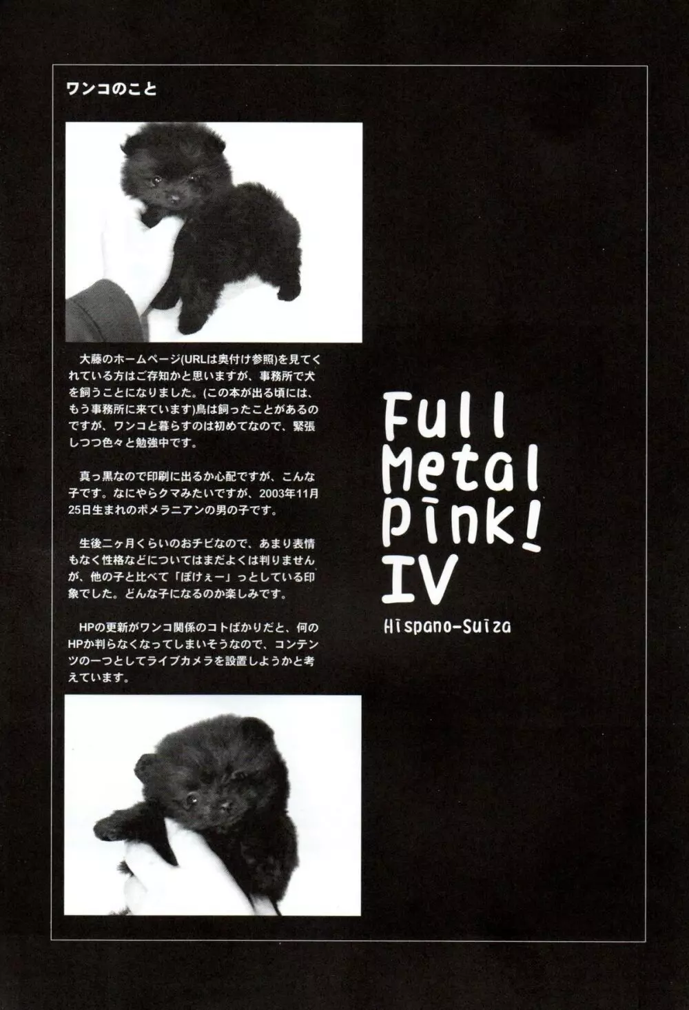 FULL METAL PINK! IV 36ページ