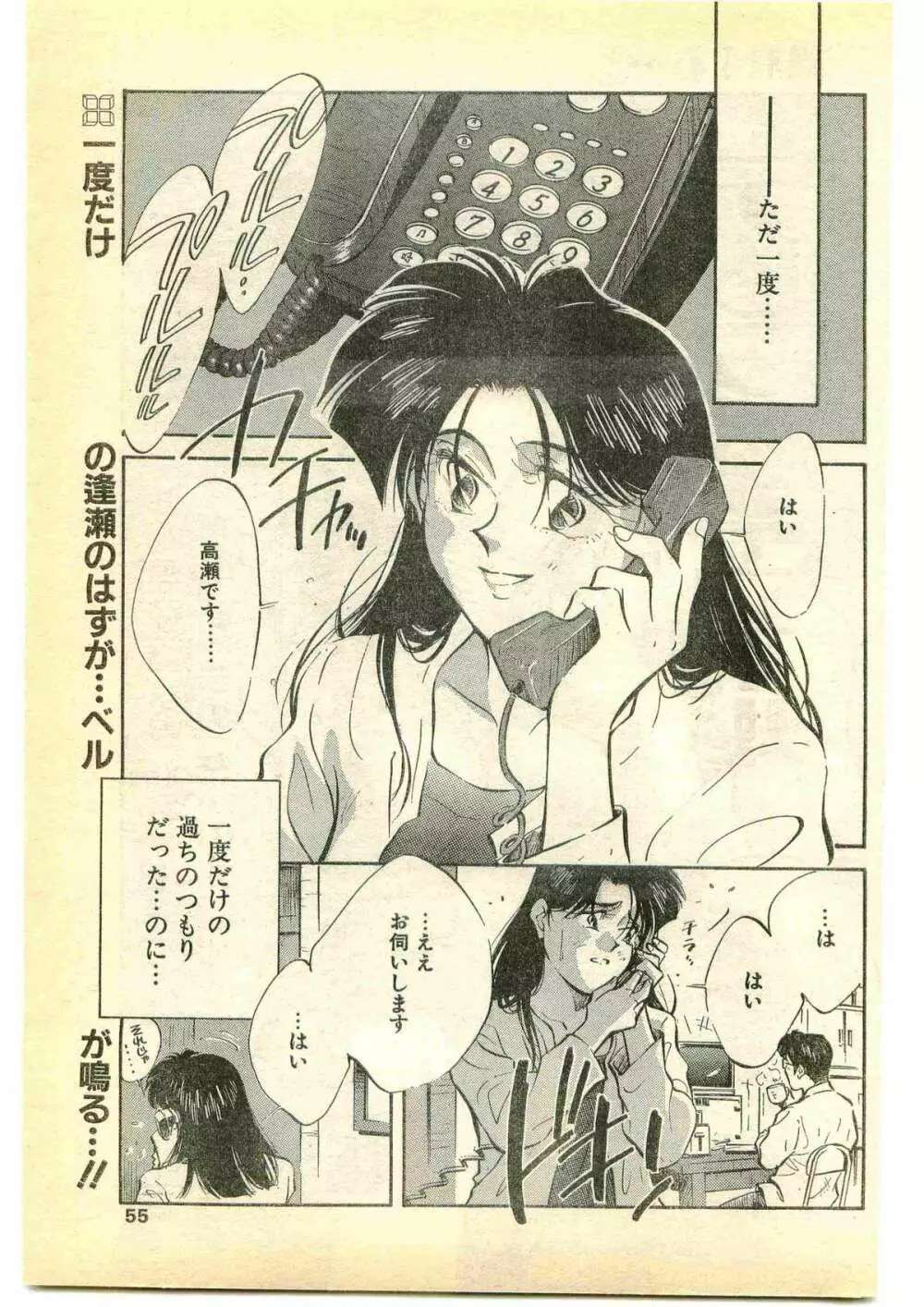 COMIC パピポ外伝 1995年5月号 55ページ