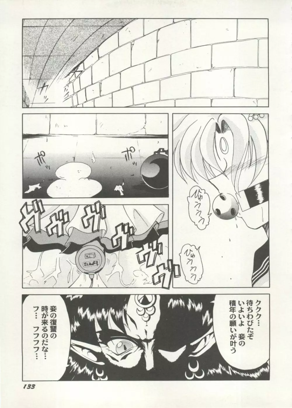 アニパロ美姫 16 133ページ