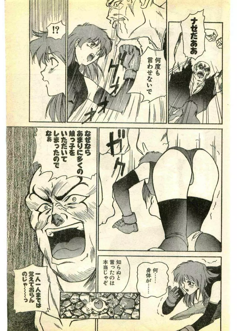 COMIC パピポ外伝 1995年3月号 205ページ