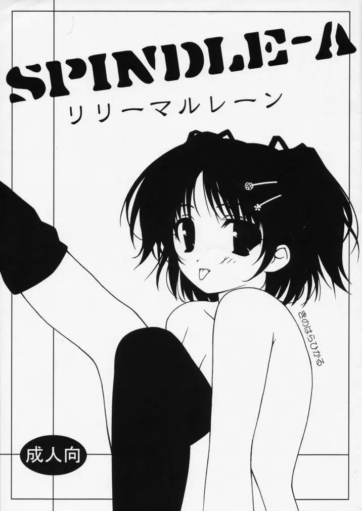 SPINDLE-A 1ページ