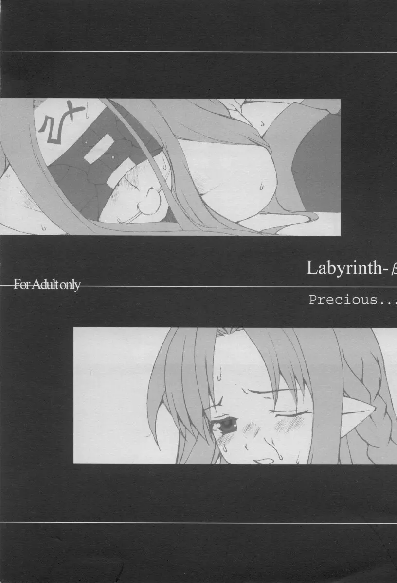 Labyrinth-β 1ページ