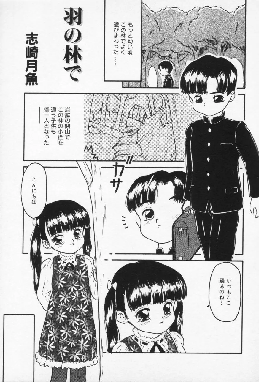 Inran Futago Shimai 15ページ