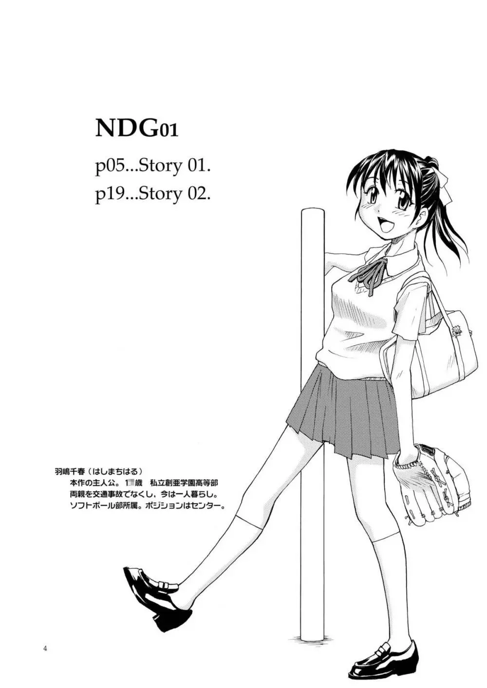 NDG01* 3ページ