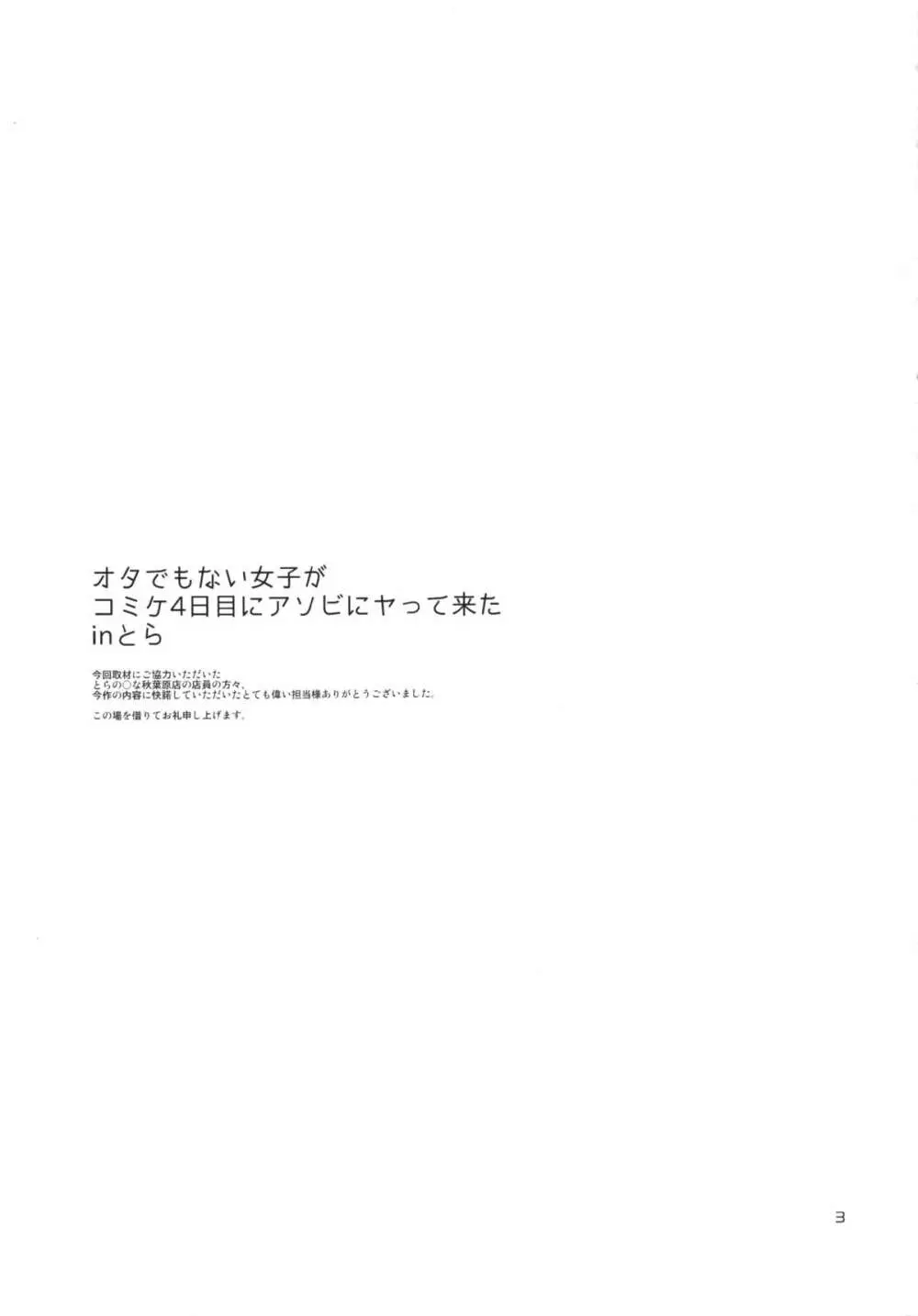 オタでもない女子がコミケ4日目にアソビにヤって来たinとら 2ページ