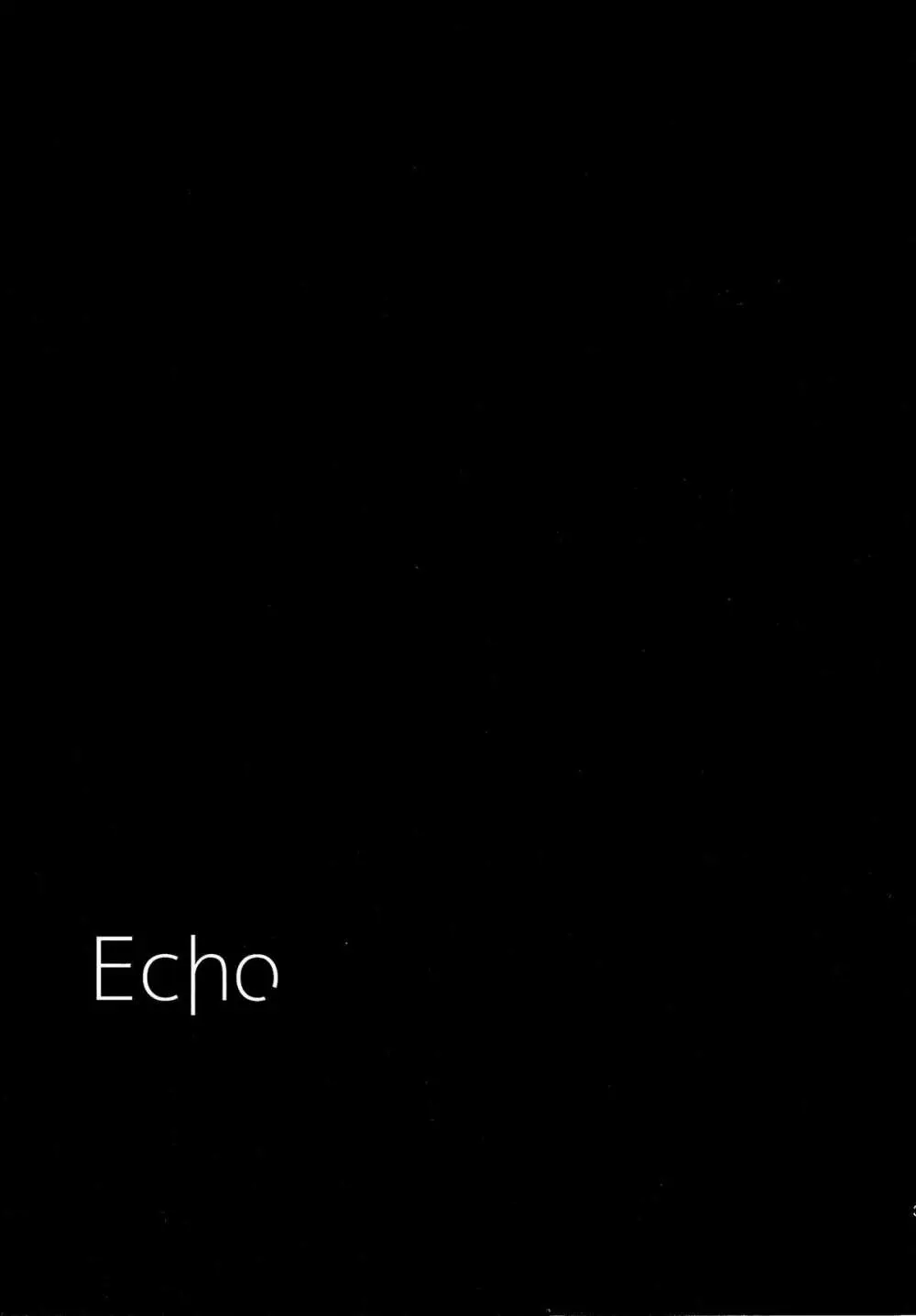 ECHO 3ページ