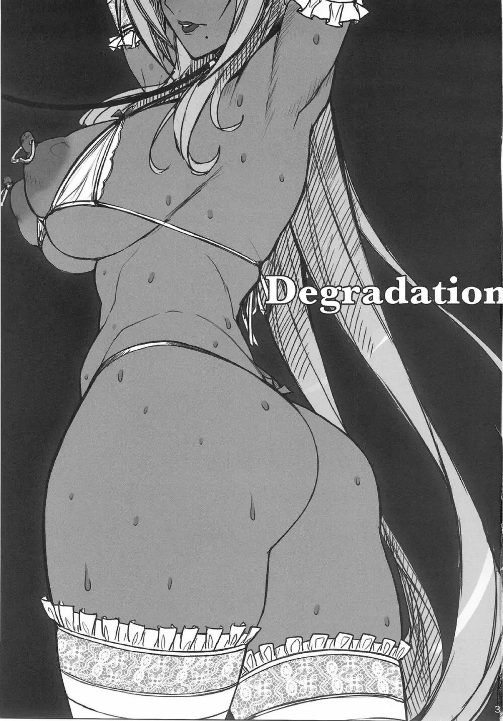 Degradation 2ページ