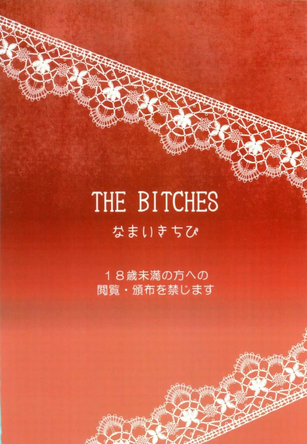 THE BITCHES 2ページ