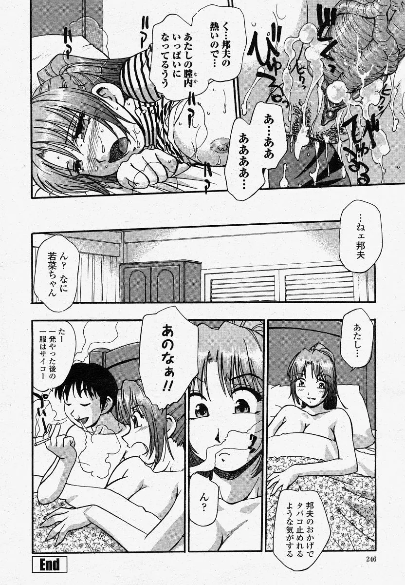 COMIC 桃姫 2004年4月号 246ページ