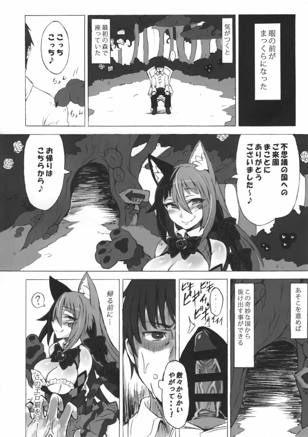 魔物娘図鑑・被害報告 ～チェシャ猫のおいでませ不思議の国～ 19ページ