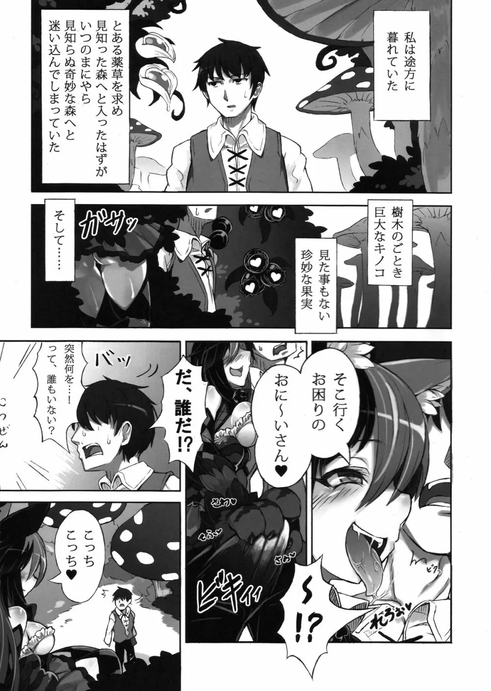 魔物娘図鑑・被害報告 ～チェシャ猫のおいでませ不思議の国～ 3ページ