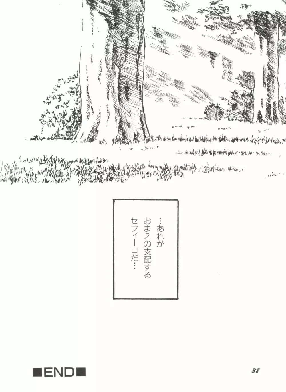 アニパロ美姫 1 40ページ