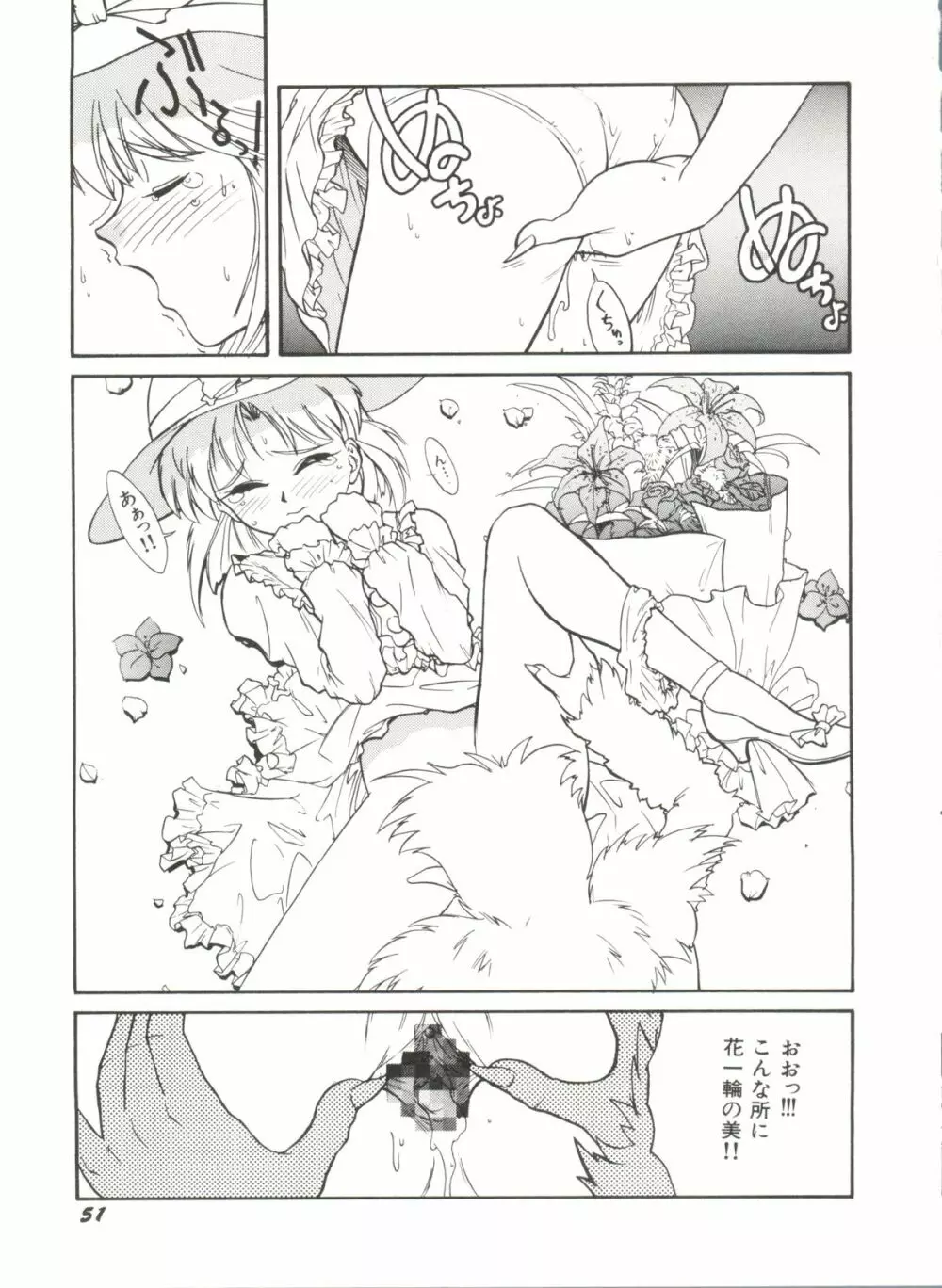 アニパロ美姫 1 53ページ