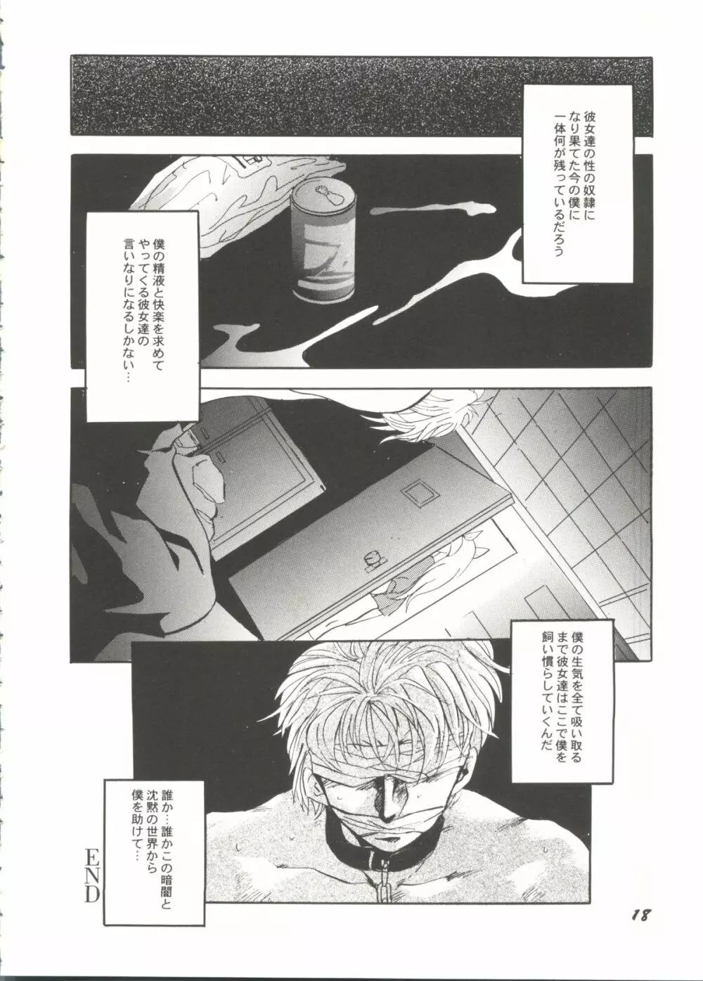 アニパロ美姫3 22ページ