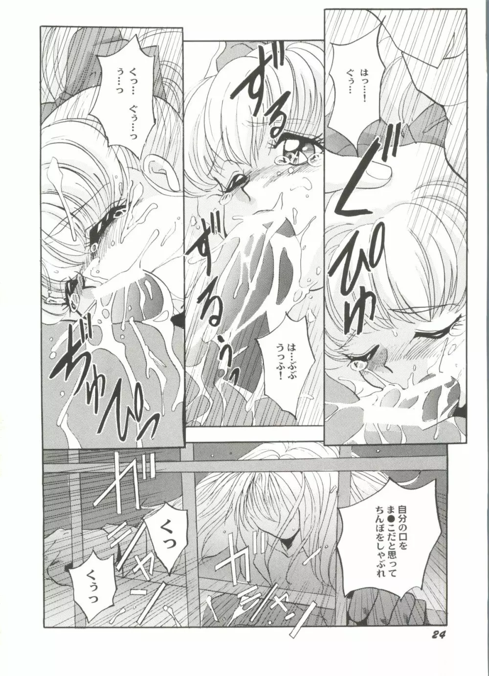 アニパロ美姫3 28ページ