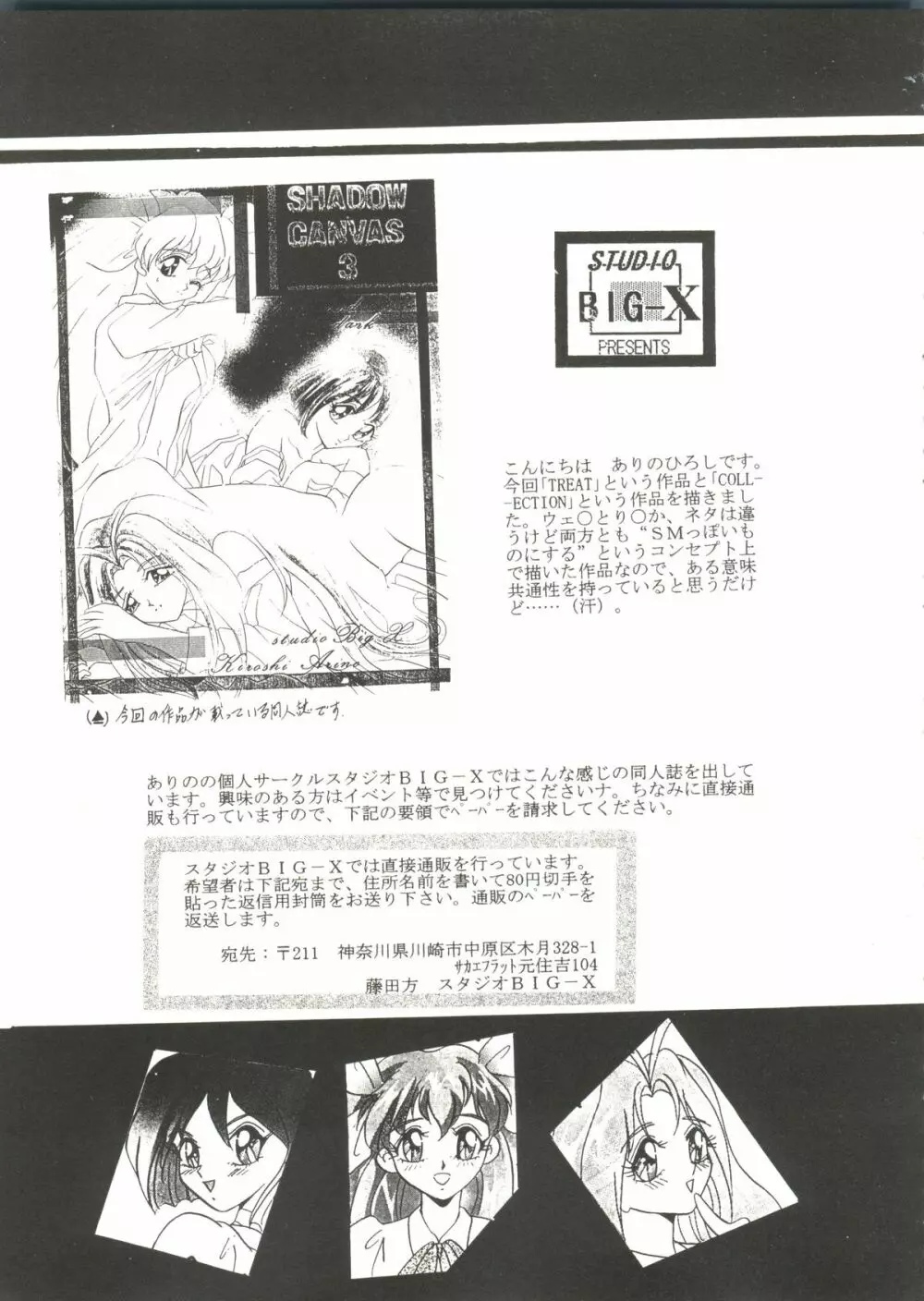 アニパロ美姫3 39ページ