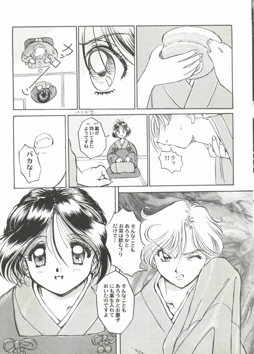 アニパロ美姫3 43ページ
