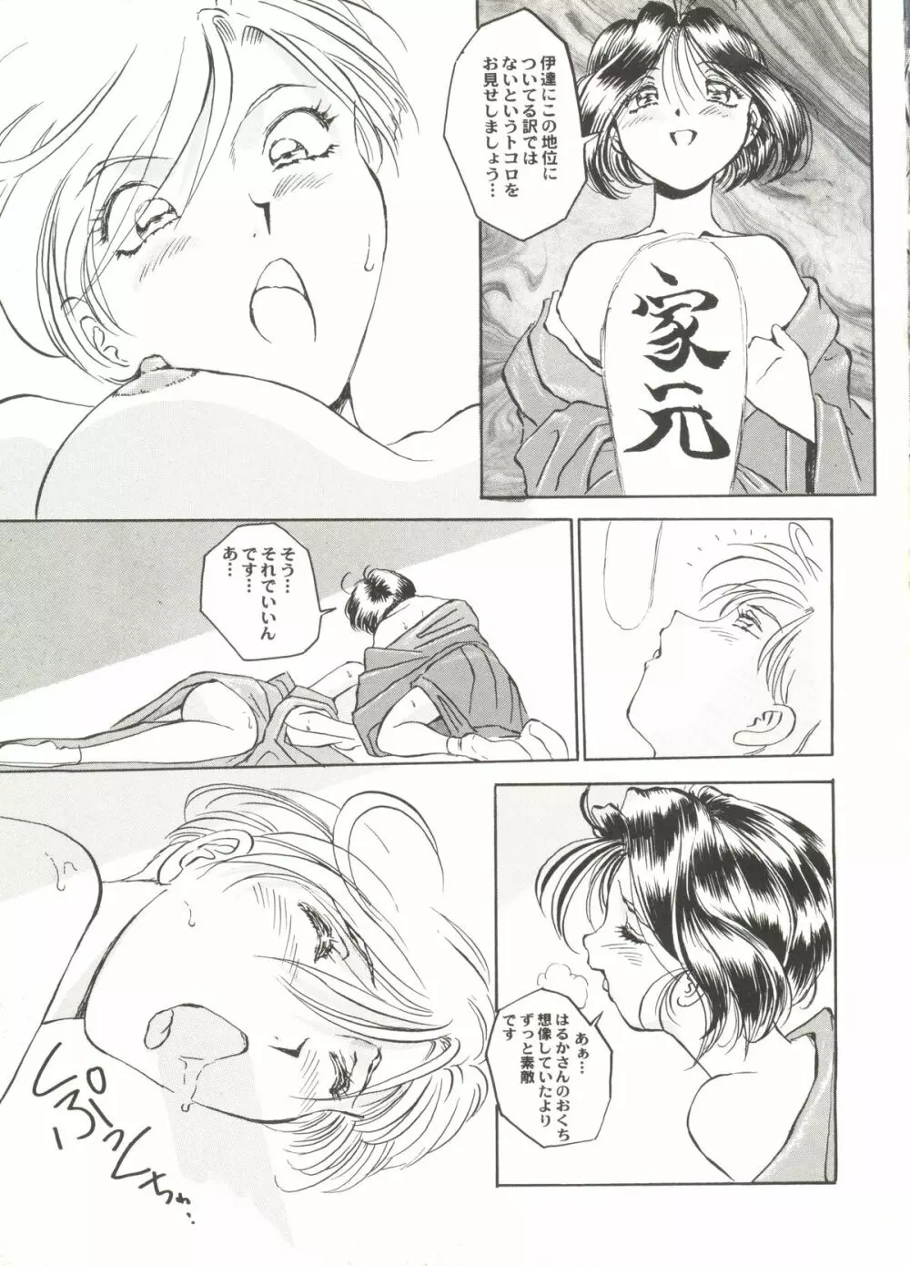 アニパロ美姫3 47ページ