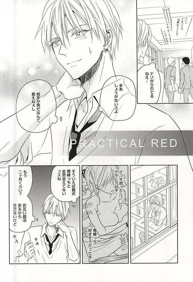 PRACTICAL RED 3ページ