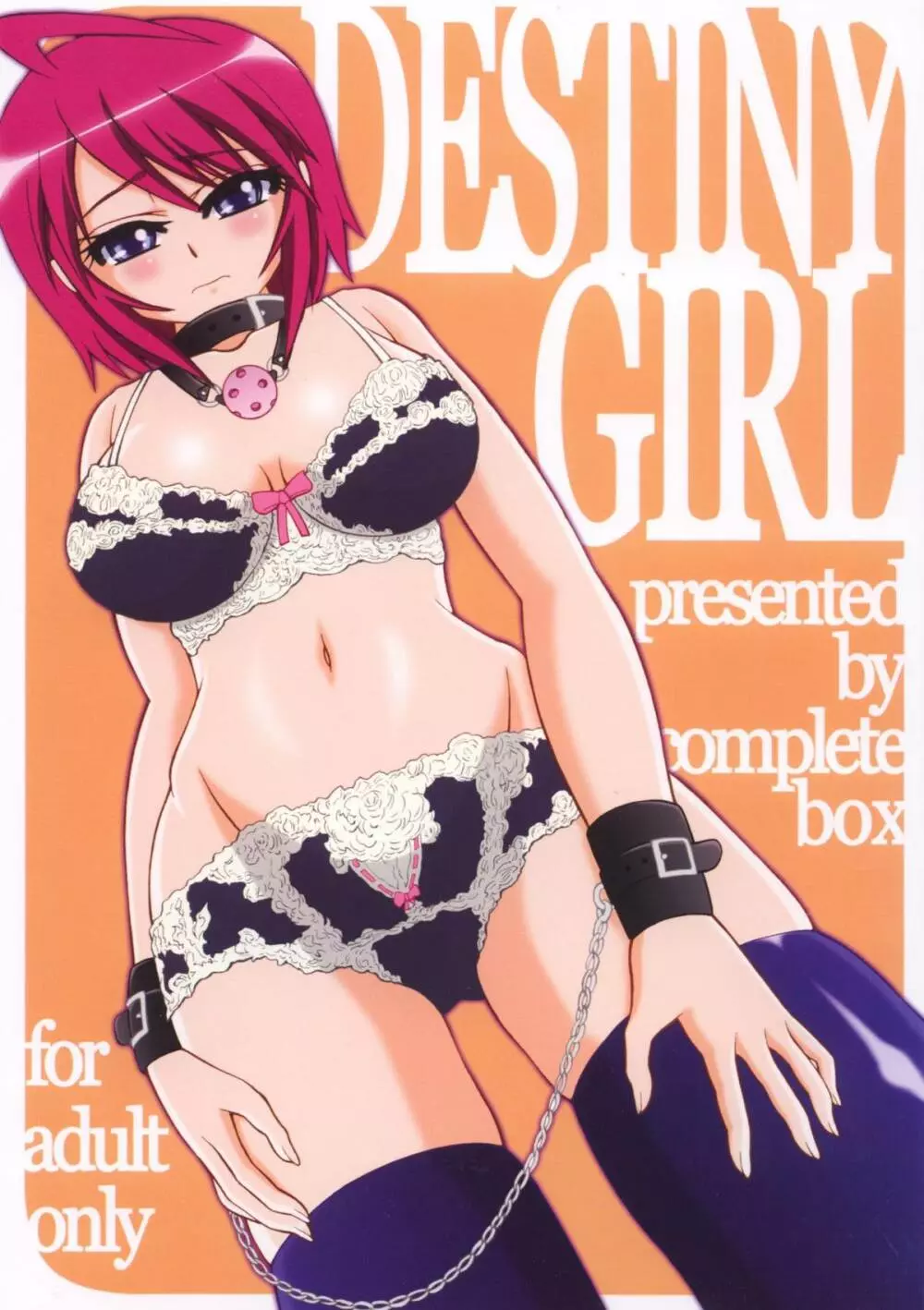 DESTINY GIRL 1ページ