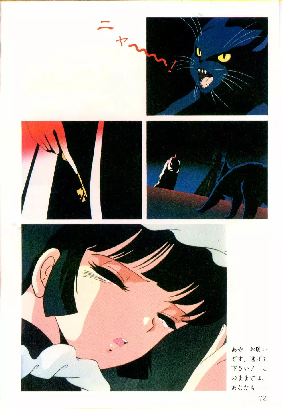 くりいむレモン・フィルム・コミックス くりいむレモン PART11 黒猫館 73ページ