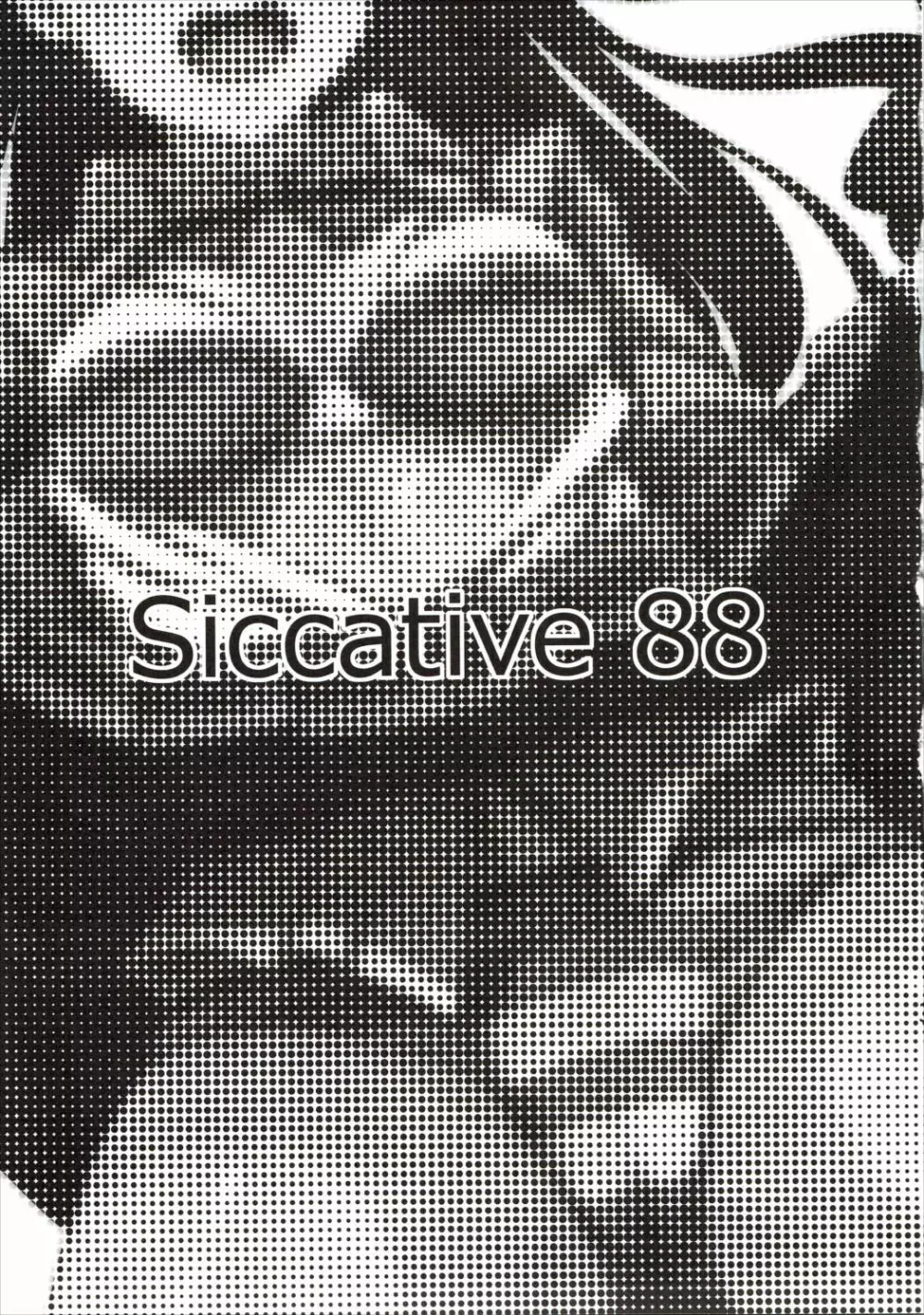 Siccative 88 2ページ