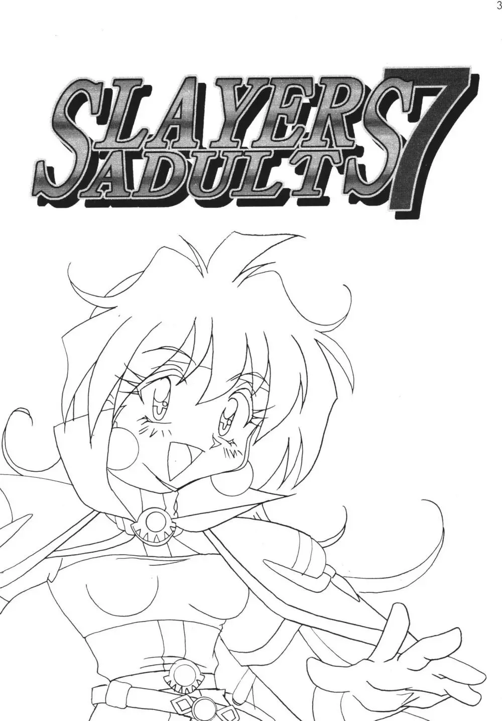 SLAYERS ADULT 7 3ページ