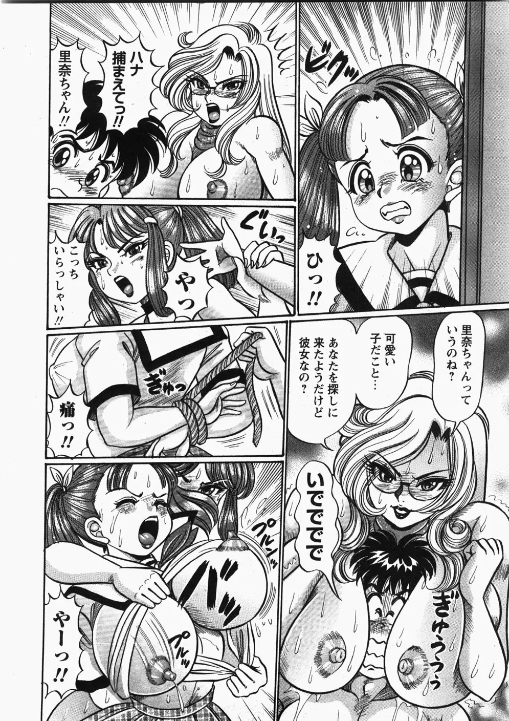Comic Hime Dorobou 2007-11 29ページ