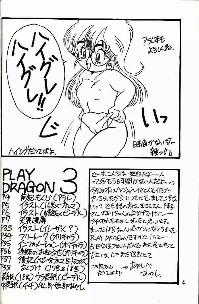 Play Dragon 3 3ページ