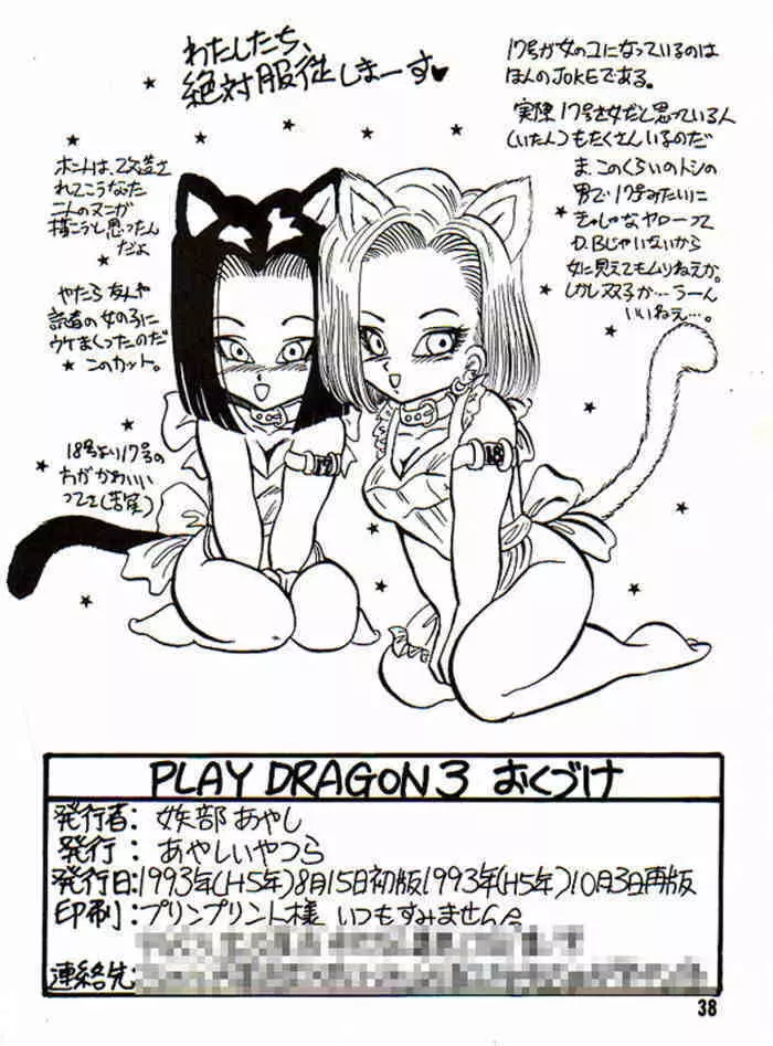 Play Dragon 3 39ページ