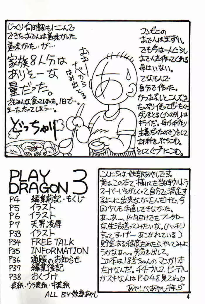 Play Dragon 3 4ページ