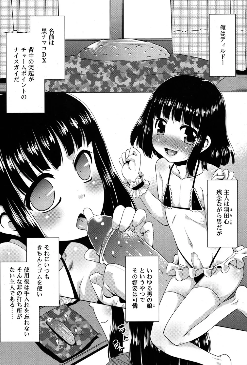 好色少年 Vol.06 255ページ