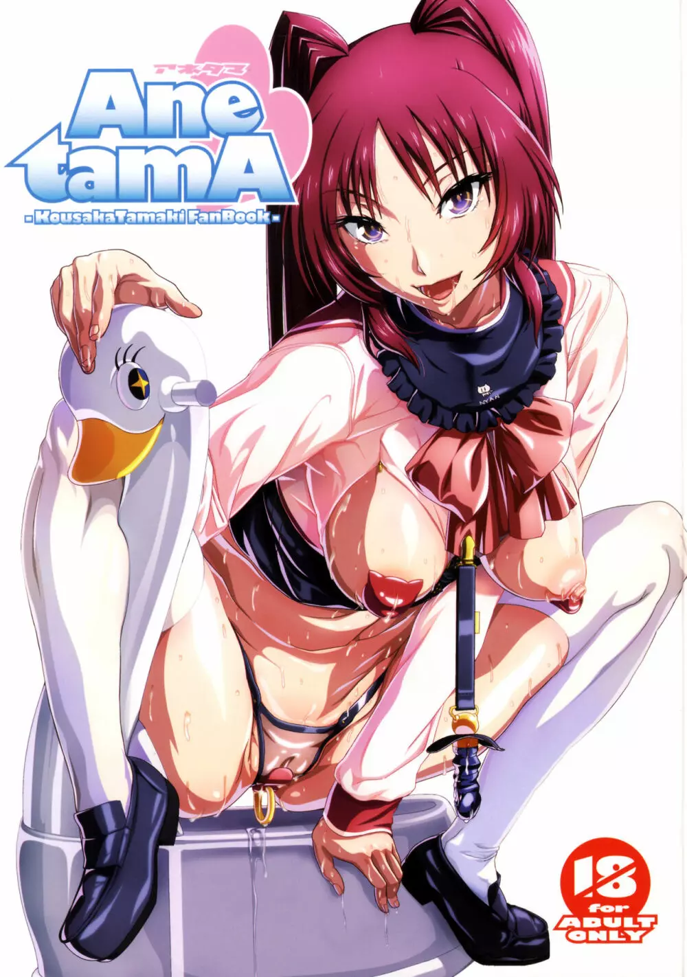 Ane tamA -Kousaka Tamaki Funbook-