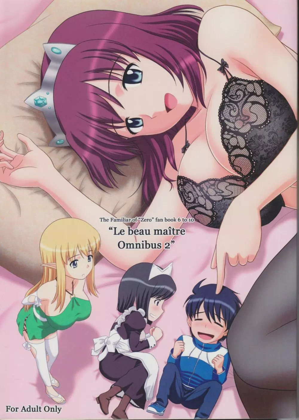 Zero no tskaima doujin Cover Samples on my radar 37ページ