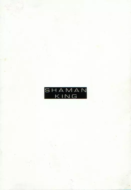 shaman king 26ページ