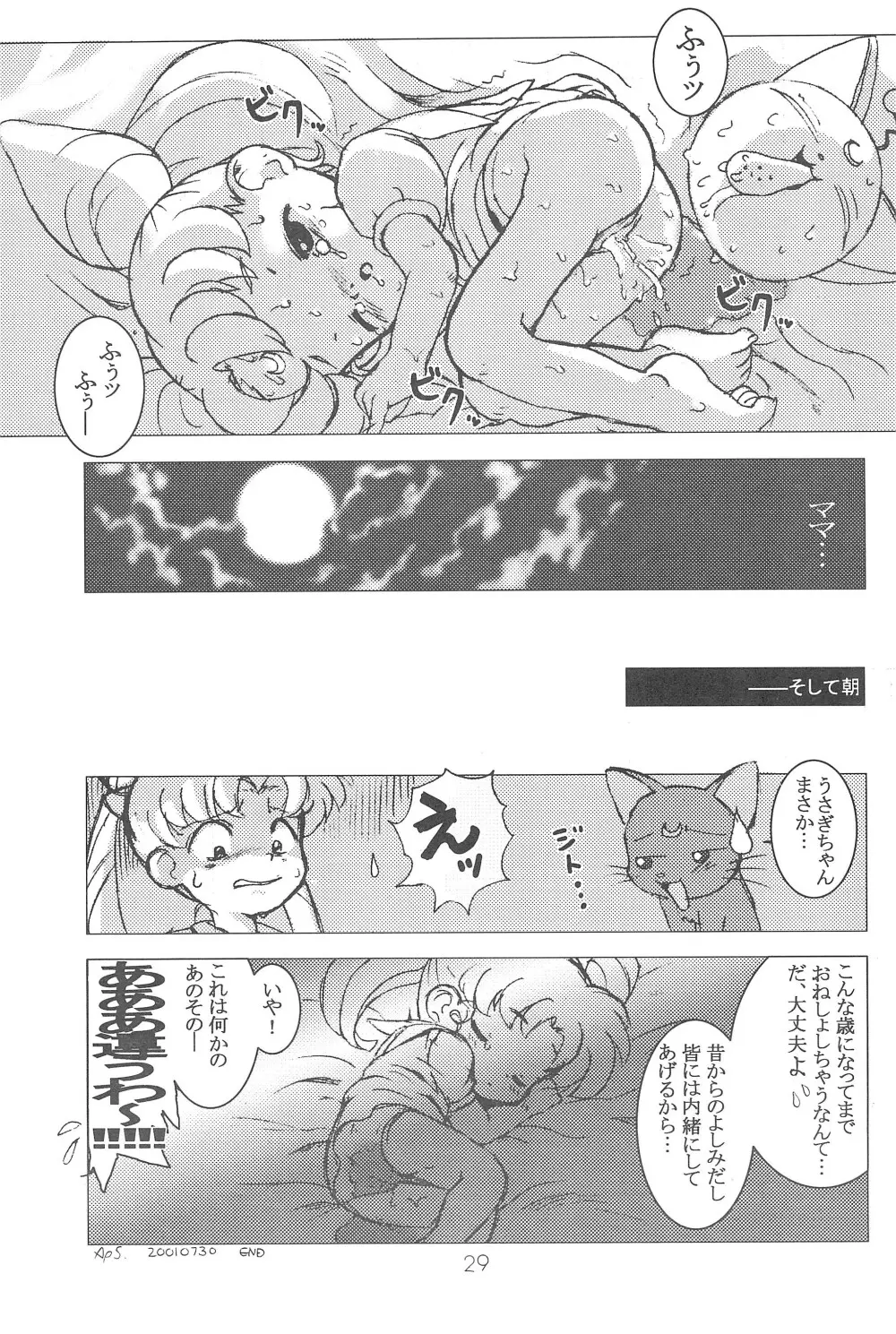 小兎螢姫 29ページ