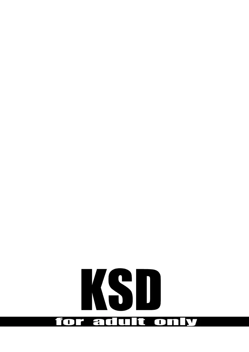 KSD 18ページ