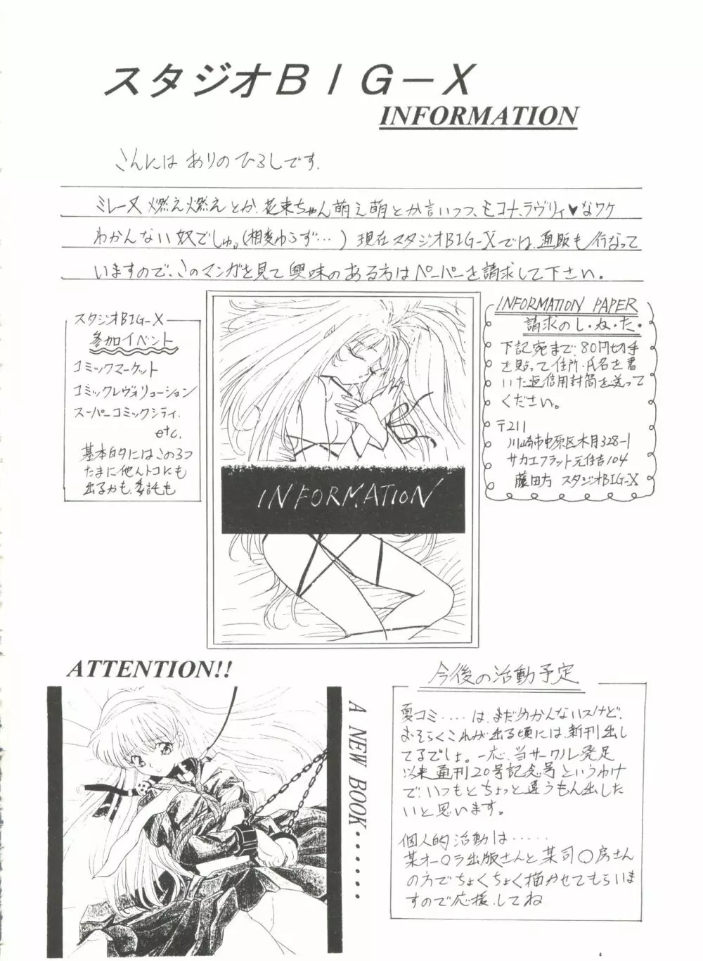 アニパロ美姫2 21ページ