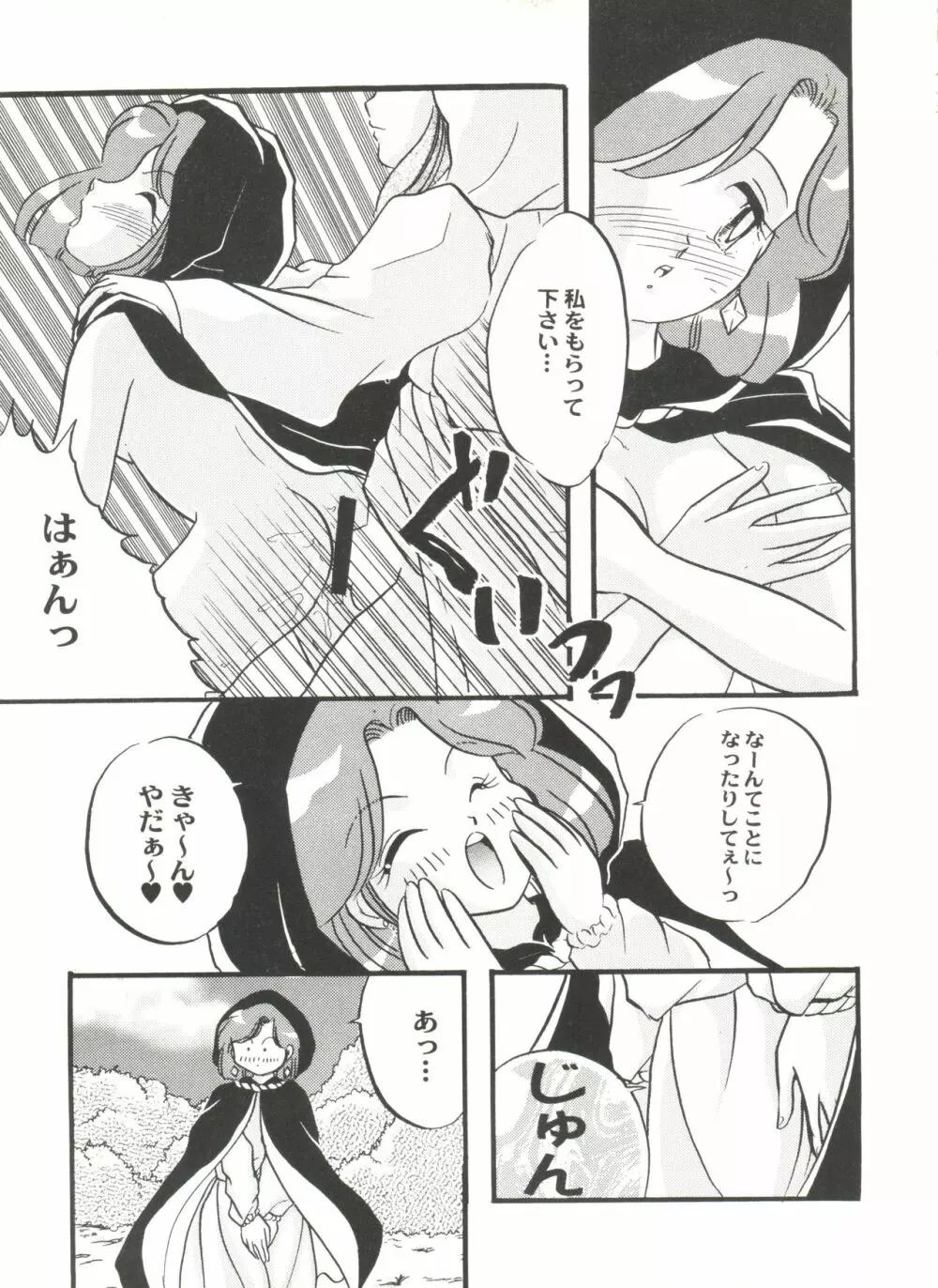 アニパロ美姫2 64ページ