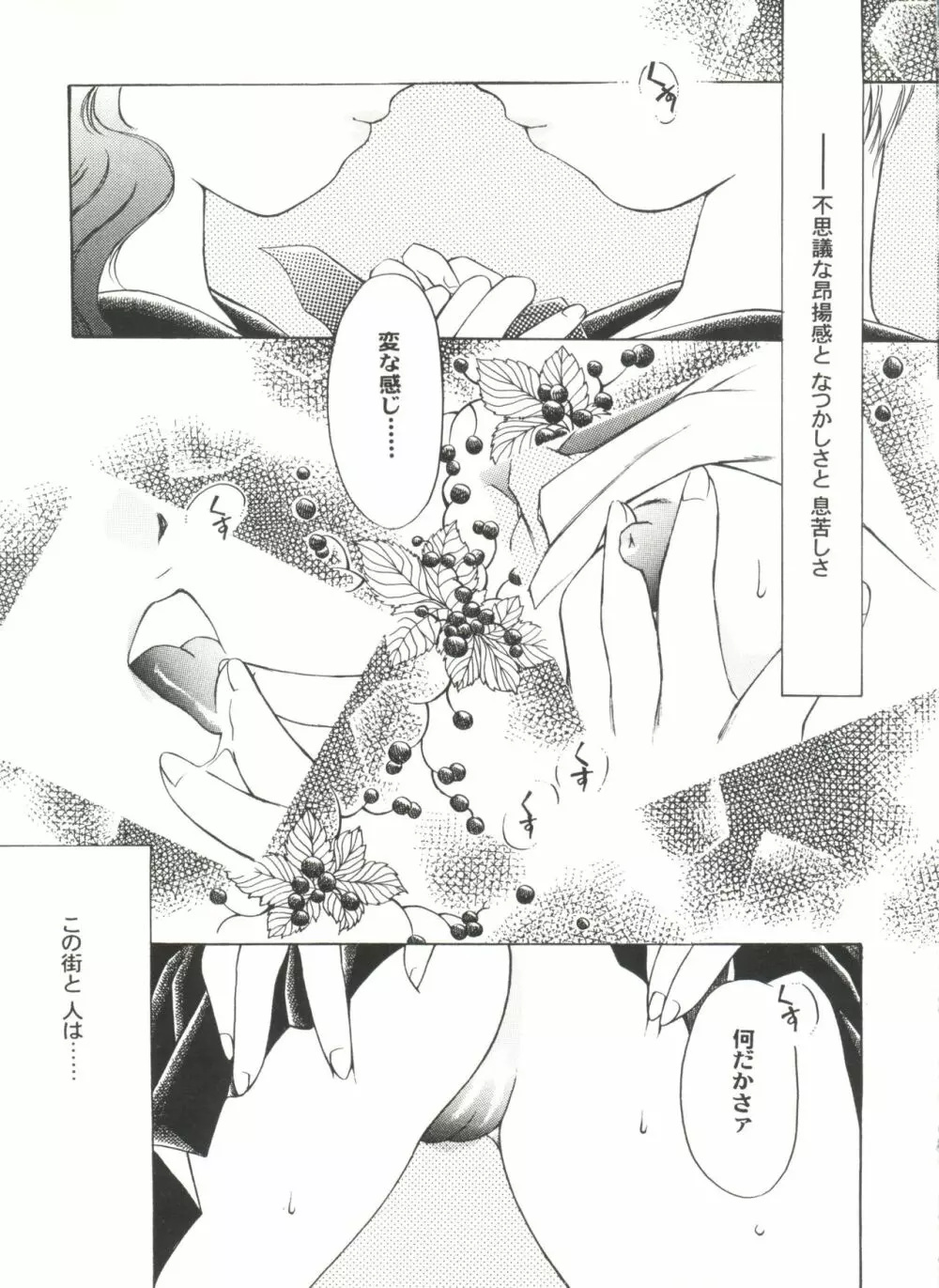アニパロ美姫2 90ページ