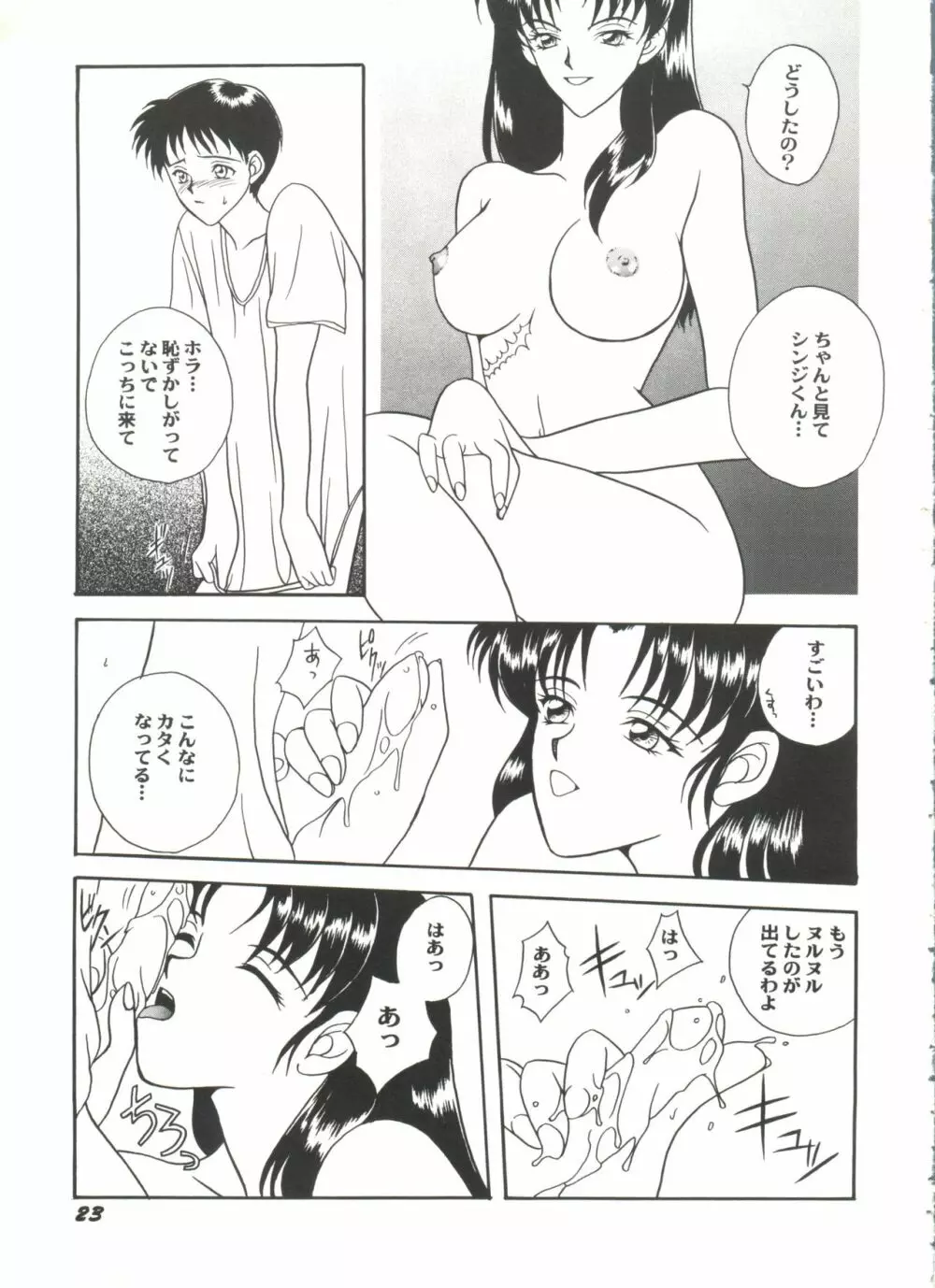 アニパロ美姫4 25ページ